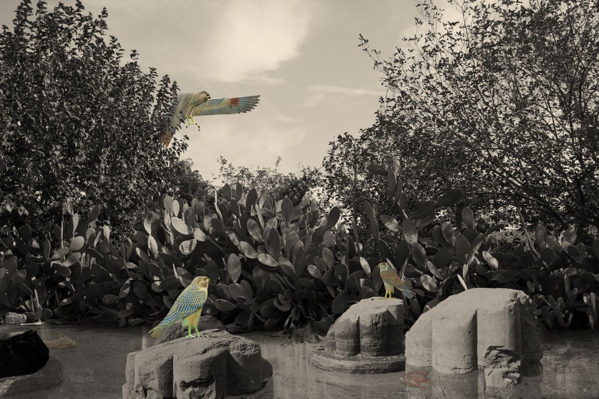 Horus (serie Playing in Fields of Reeds), Sara Sallam
